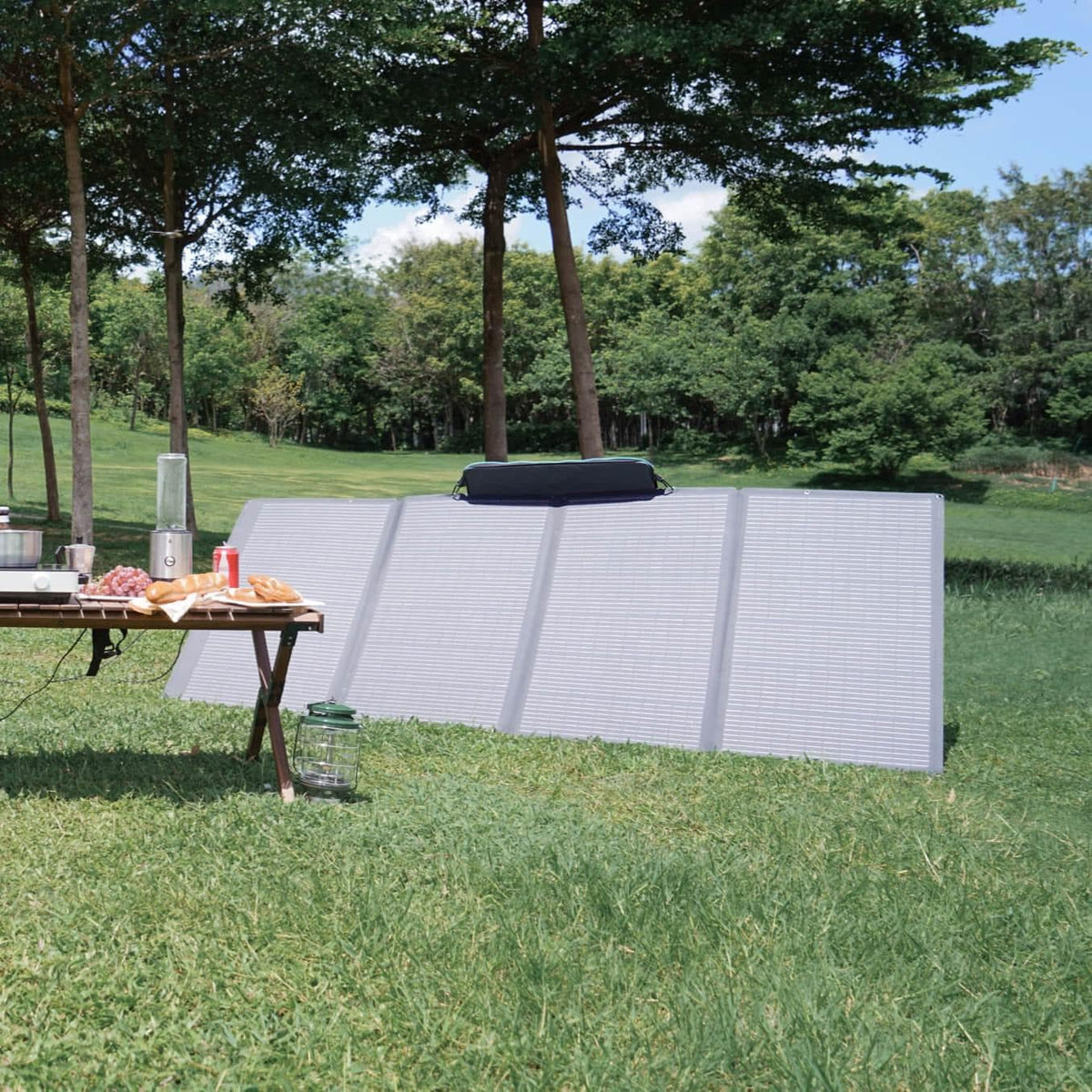 EcoFlow – 400W Portable Solar Panel with XT60 Cable — view 2